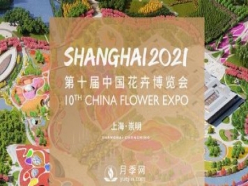 第十屆中國花博會將于5月21日在上海舉辦，歷時42天