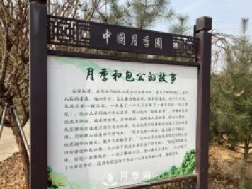 南陽(yáng)中國(guó)月季園，包公和月季的故事