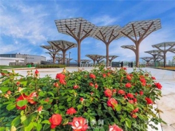 南陽世界月季大觀園景區(qū)簡(jiǎn)介