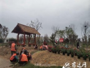 醉美泗陽，月季花海，第十一屆中國月季展覽會4月28日開幕