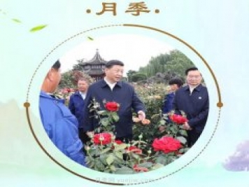 “小康菜譜”上新了！“最強(qiáng)帶貨員”這次cue到南陽月季
