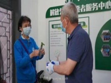 送你一枝月季，許你一束繁花，武漢百余市民領(lǐng)到月季扦插枝條