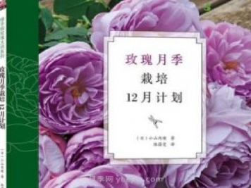 月季圖書(shū)：小山內(nèi)健《玫瑰月季栽培12月計(jì)劃》