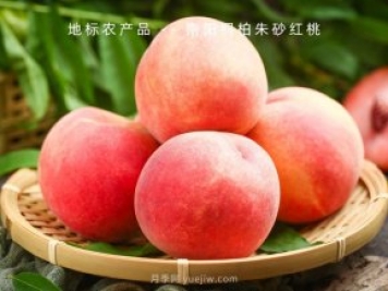 鄉(xiāng)村振興——如何讓消費者愛上農(nóng)村特色農(nóng)產(chǎn)品