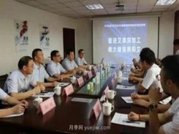 推進艾草深加工，做大做強南陽艾，主題座談會成功召開