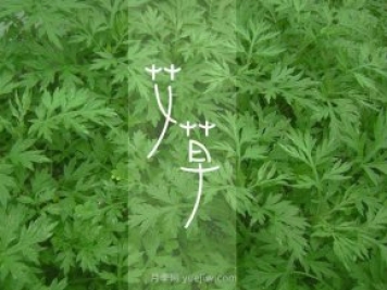 宛艾！南陽艾草產(chǎn)業(yè)志在出圈，怎借東風(fēng)成就世界艾鄉(xiāng)？