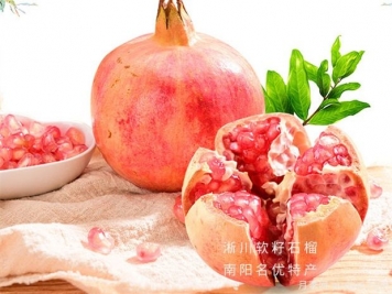 石榴病蟲(chóng)害防治技術(shù)