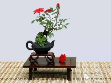 如何制作漂亮的月季盆景？藝術(shù)品來了