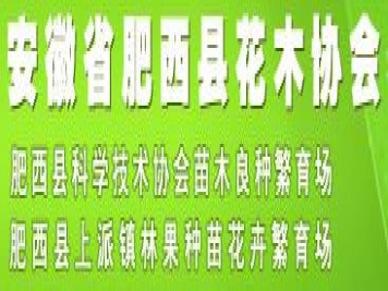 安徽省肥西縣花木協(xié)會(huì)