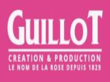 月季育種家：法國(guó)吉洛月季公司(Guillot洛特)