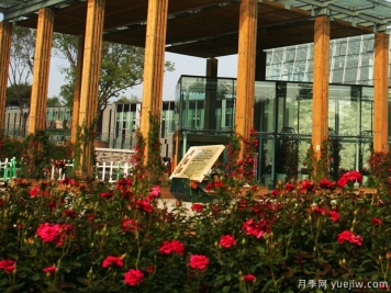 月季名園：沈陽(yáng)世博園玫瑰園