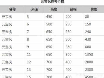元寶楓的價格一路上漲，大規(guī)格優(yōu)質(zhì)苗一株能賣上萬元