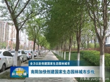 已種月季103萬(wàn)多株，南陽(yáng)加快創(chuàng)建國(guó)家生態(tài)園林城市步伐
