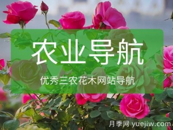 農(nóng)業(yè)花木網(wǎng)址導航_十大農(nóng)業(yè)網(wǎng)站