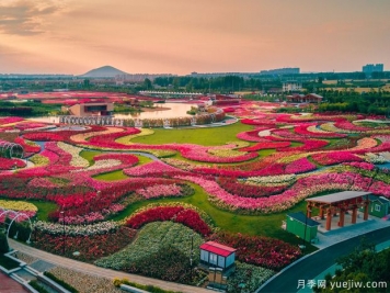 南陽2023首屆世界月季博覽會，月季花開迎客來