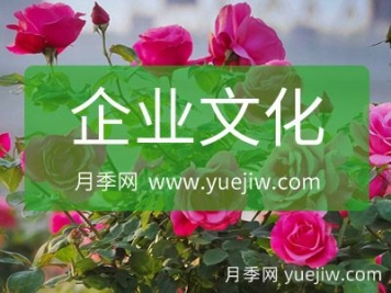 月季網企業(yè)文化