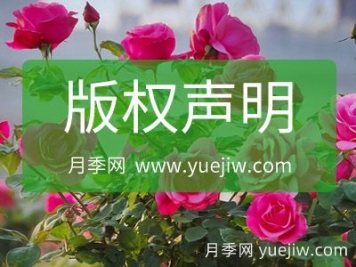 版權聲明
