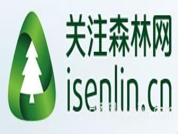 月季選苗時，要注意哪些事項(xiàng)？