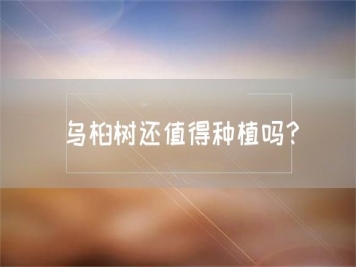 烏桕樹還值得種植嗎？