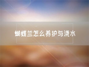 蝴蝶蘭怎么養(yǎng)護(hù)與澆水