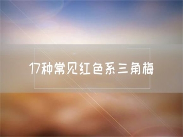 17種常見(jiàn)紅色系三角梅
