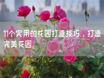 11個(gè)實(shí)用的花園打造技巧，打造完美花園