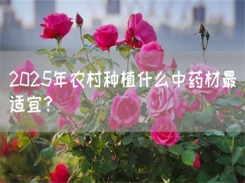 2025年農(nóng)村種植什么中藥材最適宜？