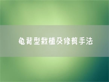 龜背型栽植及修剪手法