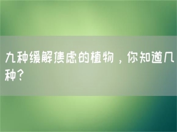 九種緩解焦慮的植物，你知道幾種？