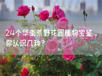 24個(gè)華南荒野花園植物寶鑒，你認(rèn)識幾種？