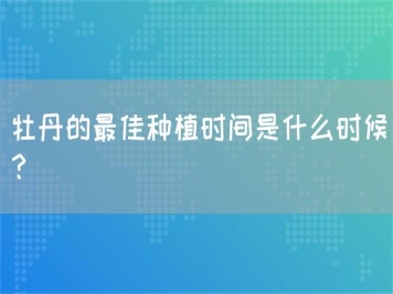 牡丹的最佳種植時(shí)間是什么時(shí)候？