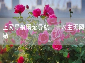 上網(wǎng)導航網(wǎng)址導航_十大主頁網(wǎng)站