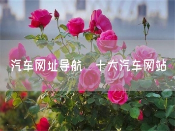汽車網(wǎng)址導航_十大汽車網(wǎng)站