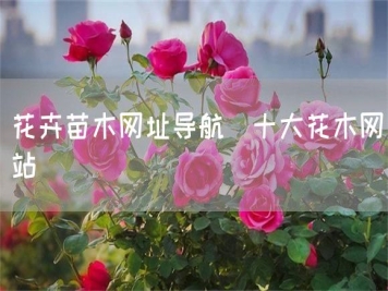 花卉苗木網(wǎng)址導(dǎo)航_十大花木網(wǎng)站