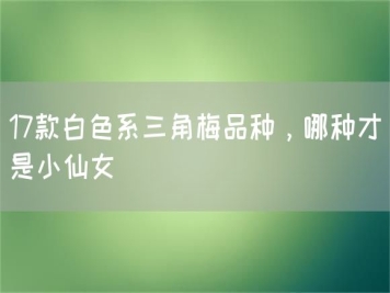 17款白色系三角梅品種，哪種才是小仙女