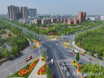 萬(wàn)株樹(shù)狀月季齊綻放，扮靚寧鄉(xiāng)城市新風(fēng)景