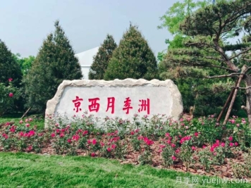 第九屆國際月季大會，北京京西月季洲開啟頂流