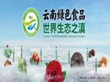 第三屆云果會盛大開幕，助力云南打造世界一流綠色食品牌