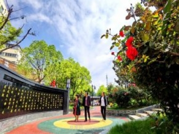 南陽臥龍崗街道，廢墟變游園，月季景優(yōu)美