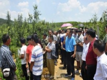 什么是新農(nóng)人，和傳統(tǒng)農(nóng)民有什么區(qū)別