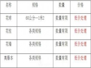 清地在即，部分造型月季品類月季價格短時間走低