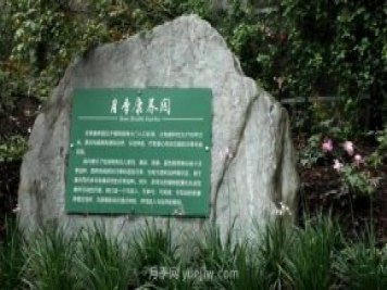 成都植物園也有月季園了，超美盛花期來啦