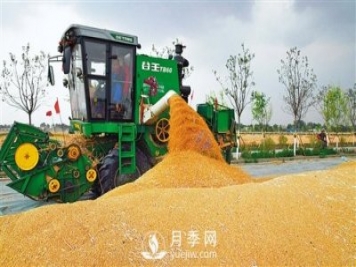河南商水：高標準農(nóng)田有啥不一樣