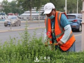 鄭州計劃打造37公里鮮花高架橋