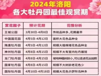 2024年洛陽(yáng)牡丹絢爛綻放，誰(shuí)與爭(zhēng)鋒？