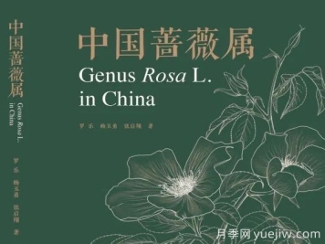 月季專著《中國薔薇屬》出版