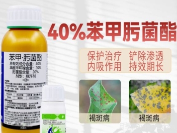 月季打藥怎么配？稀釋很難嗎？