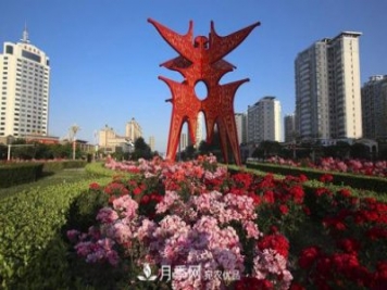 商丘市花月季爭(zhēng)相盛放，增艷商丘市容