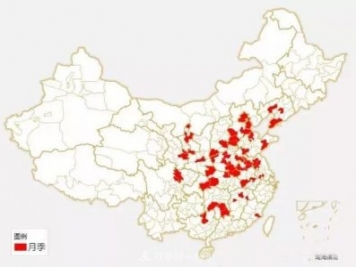 中國(guó)各城市市花大集合！月季是51個(gè)城市市花具首位