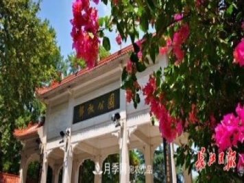 湖北武漢百萬株月季“理發(fā)”，國慶節(jié)前將綻放街頭